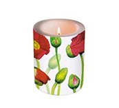 Lys - R�de blomster